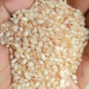 টেপি বোরো চাল